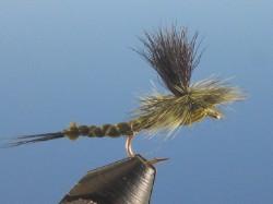 Green Drake Extended Body - The Trout Spot