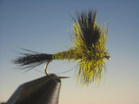 Green Drake Wulff - The Trout Spot