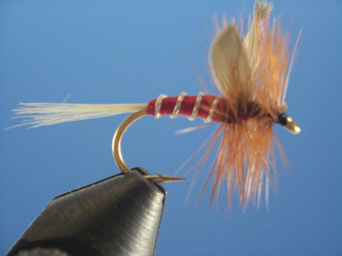 Greenwells Glory - The Trout Spot