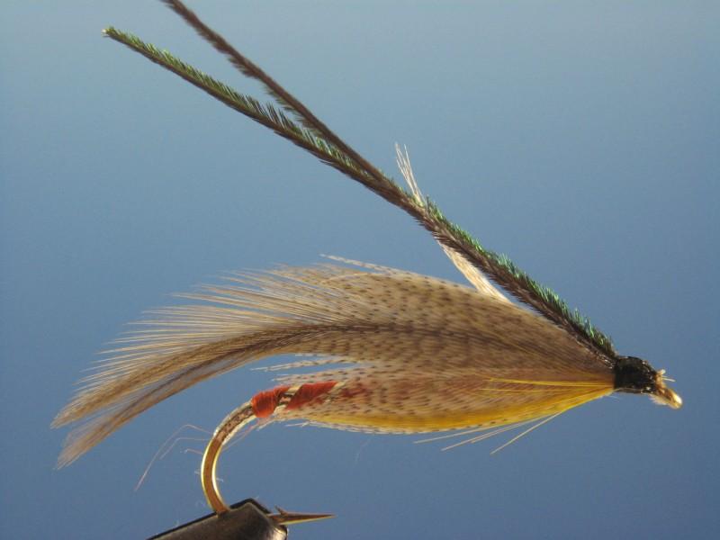 Grey Ghost - The Trout Spot