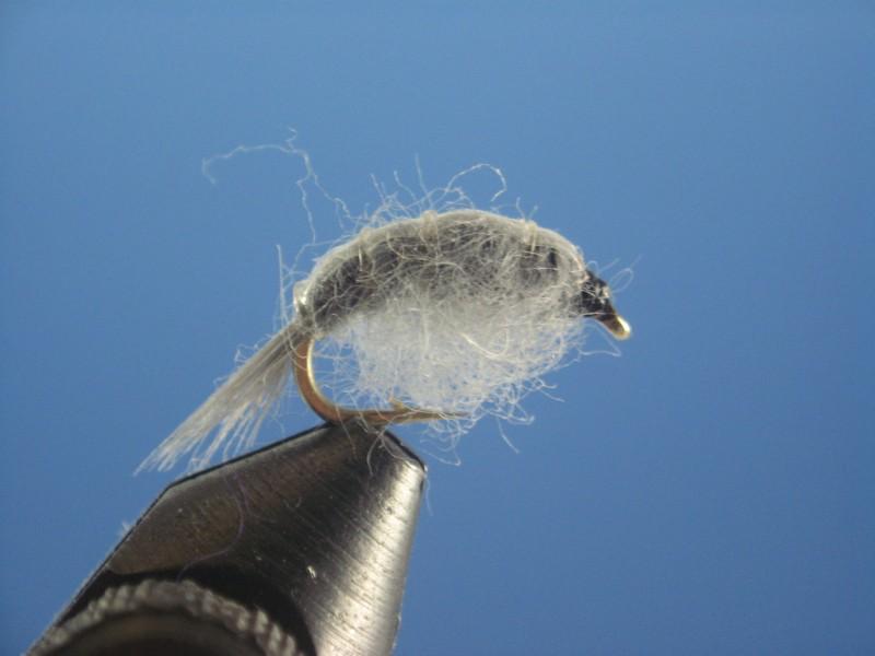 Grey Scud - The Trout Spot