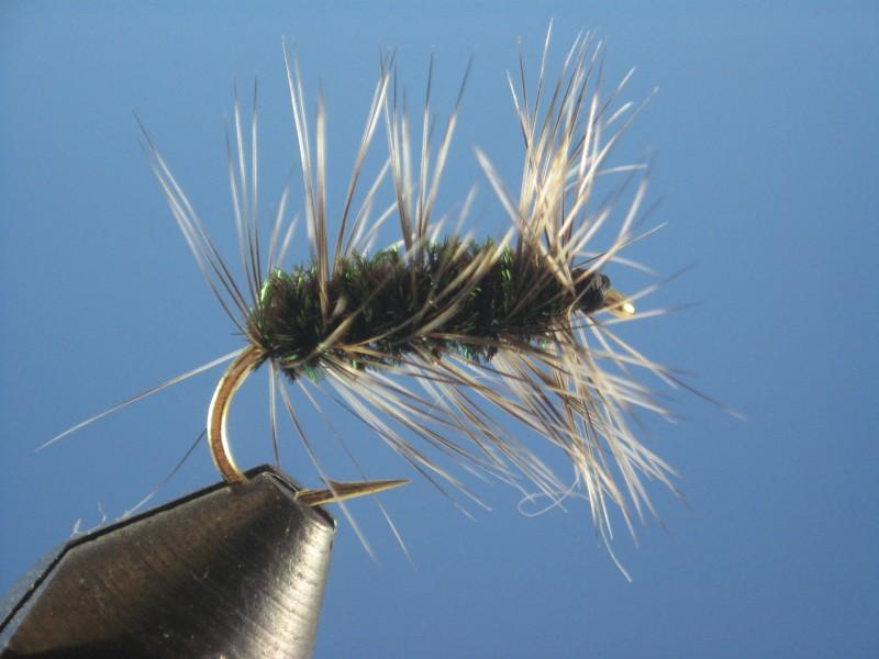 Griffith's Gnat - The Trout Spot