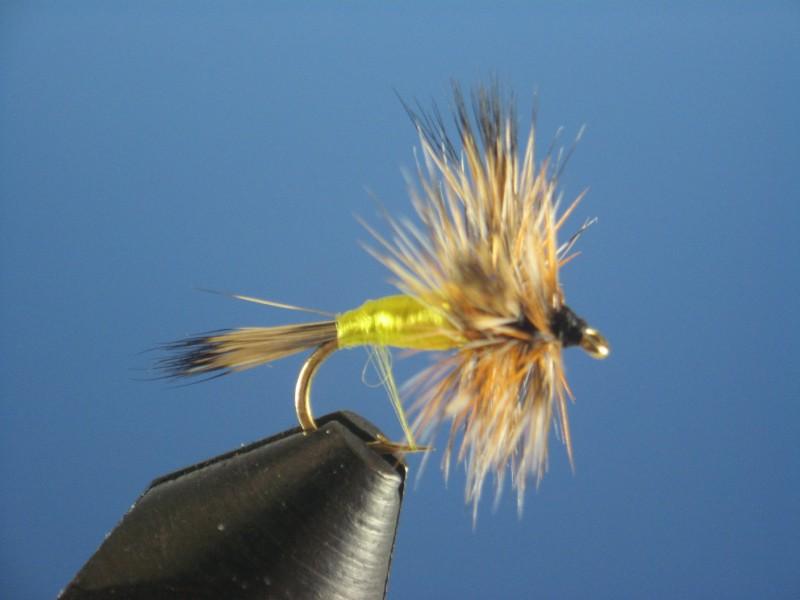 Grizzly Wulff - The Trout Spot