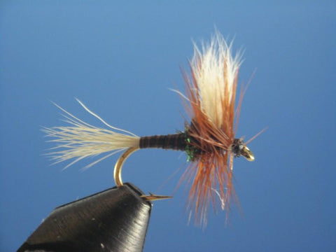 H & L Variant - The Trout Spot