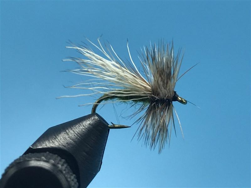 Hair Wing Caddis - The Trout Spot