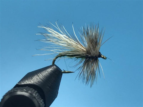 Hair Wing Caddis - The Trout Spot