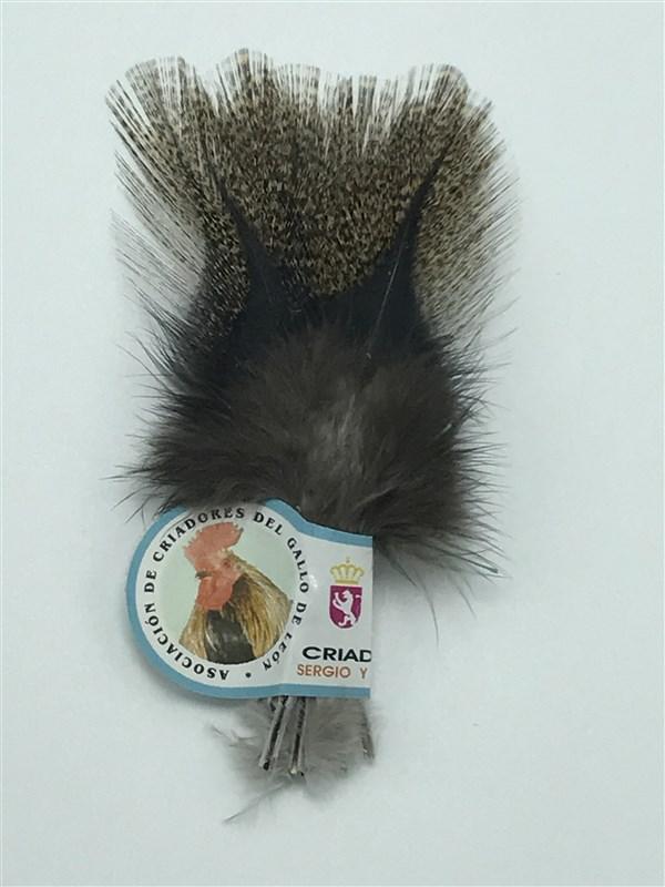 Hareline Dubbin Coq De Leon - The Trout Spot