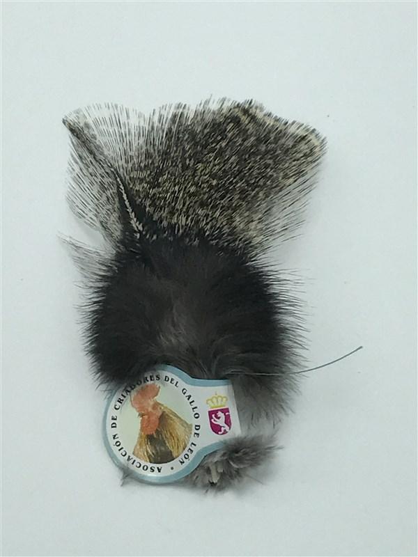 Hareline Dubbin Coq De Leon - The Trout Spot