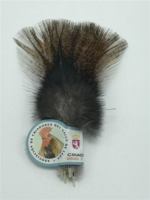 Hareline Dubbin Coq De Leon - The Trout Spot