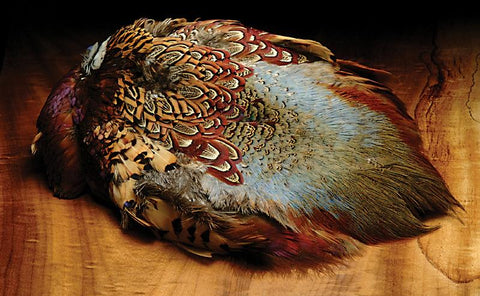 Hareline Dubbin Ringneck Pheasant Skin - The Trout Spot