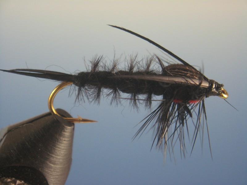 Hellgramite - The Trout Spot