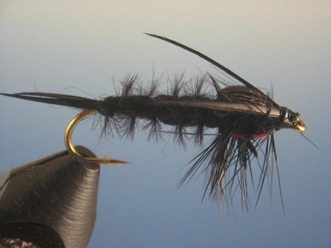 Hellgramite - The Trout Spot