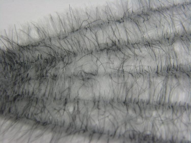 Henry's Fork Hackle Ultra-Light - The Trout Spot