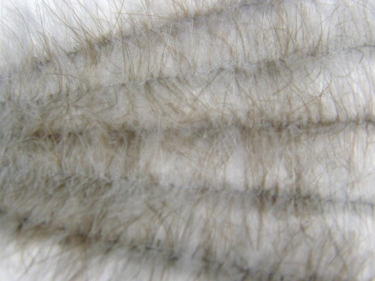 Henry's Fork Hackle Ultra-Light - The Trout Spot