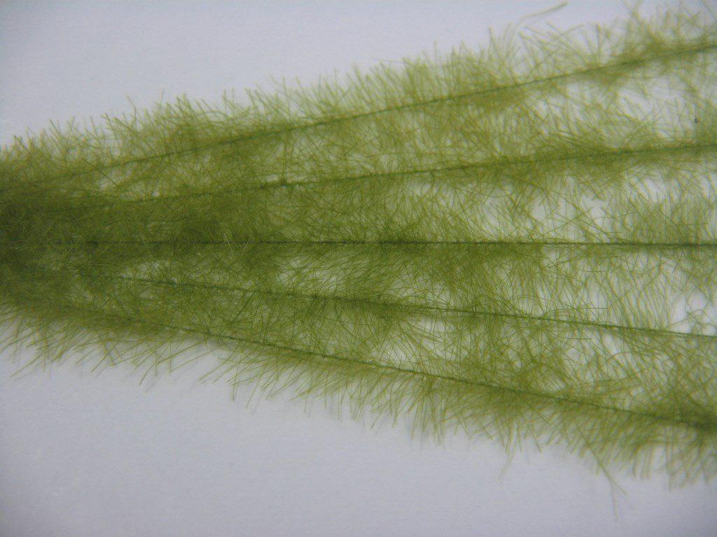 Henry's Fork Hackle Ultra-Light - The Trout Spot