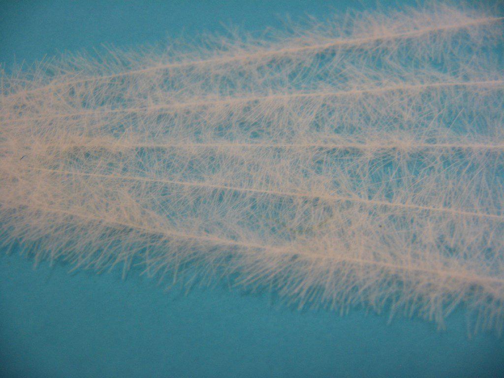 Henry's Fork Hackle Ultra-Light - The Trout Spot