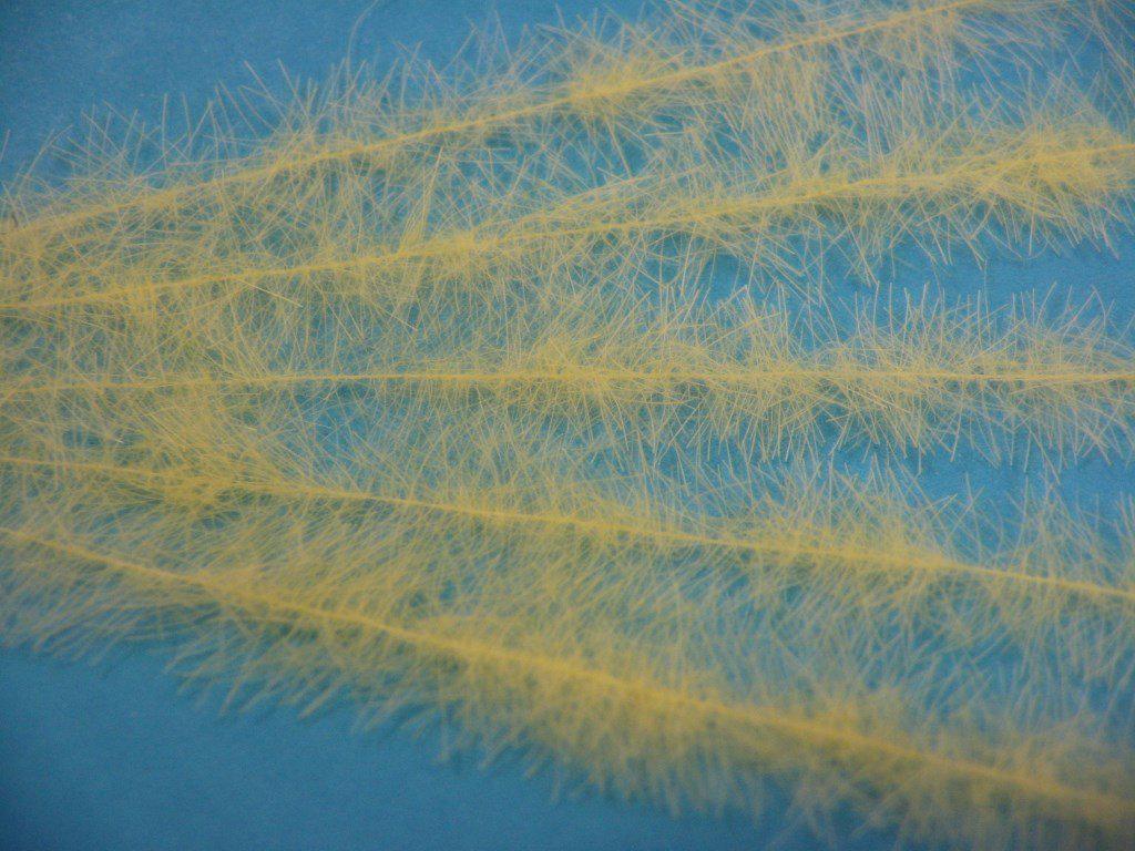 Henry's Fork Hackle Ultra-Light - The Trout Spot