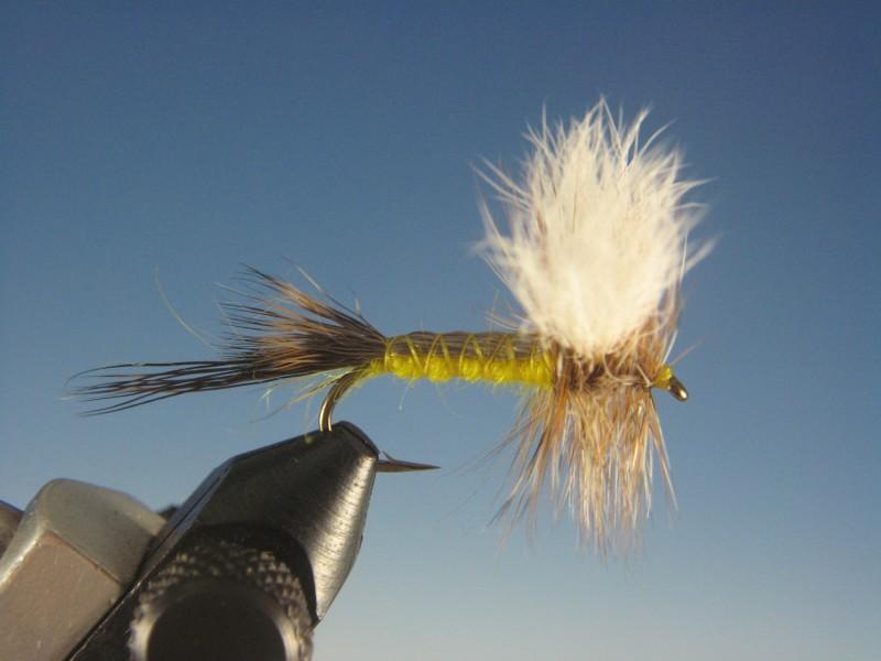 Hexagenia Dun - The Trout Spot