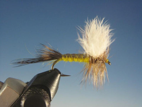 Hexagenia Dun - The Trout Spot