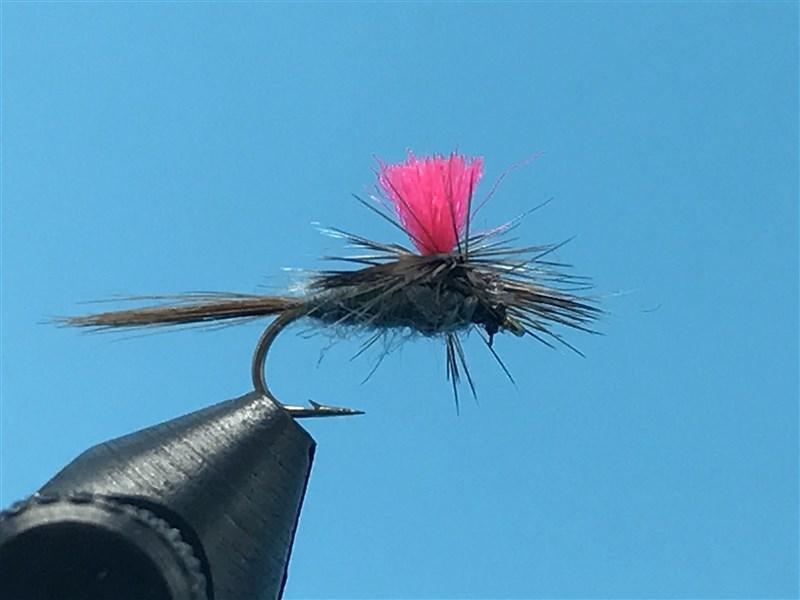 Hi-Vis Parachute Adams - The Trout Spot