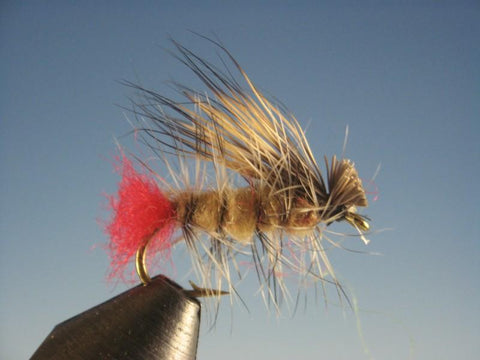 Hot Butt Caddis Tan - The Trout Spot