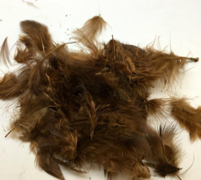 Hungarian Partridge Feathers - The Trout Spot