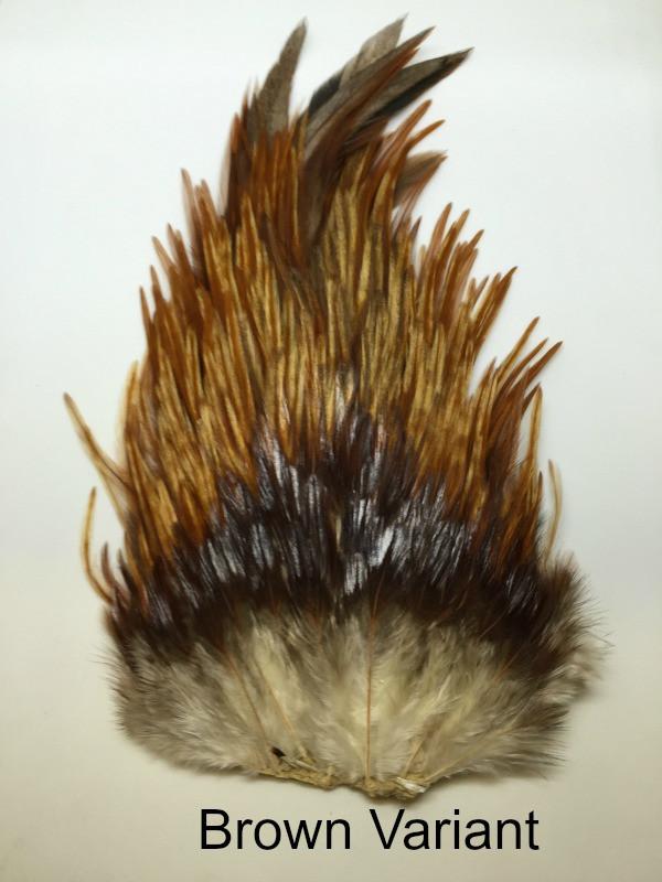 Indian Rooster Saddle Patches - The Trout Spot