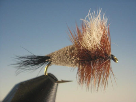 Irresistible Wulff - The Trout Spot