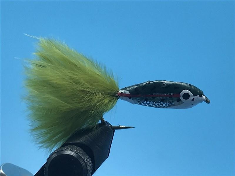 Janssens Minnow Brook Trout - The Trout Spot