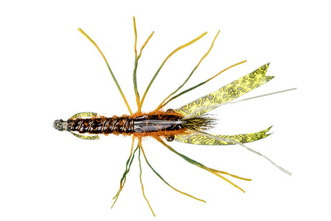 Kory's Crawdad Rust - The Trout Spot