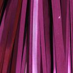 Larva Lace Teazer Tinsel - The Trout Spot