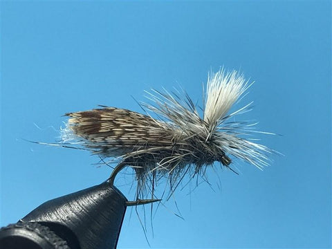Lawson's EZ Caddis - The Trout Spot