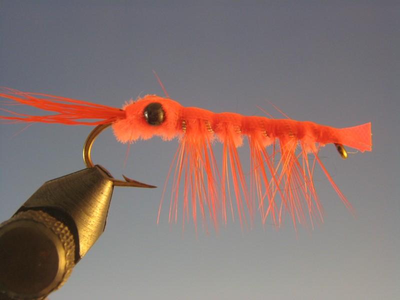 Lester - The Trout Spot