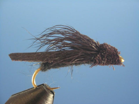 Letort Cricket - The Trout Spot