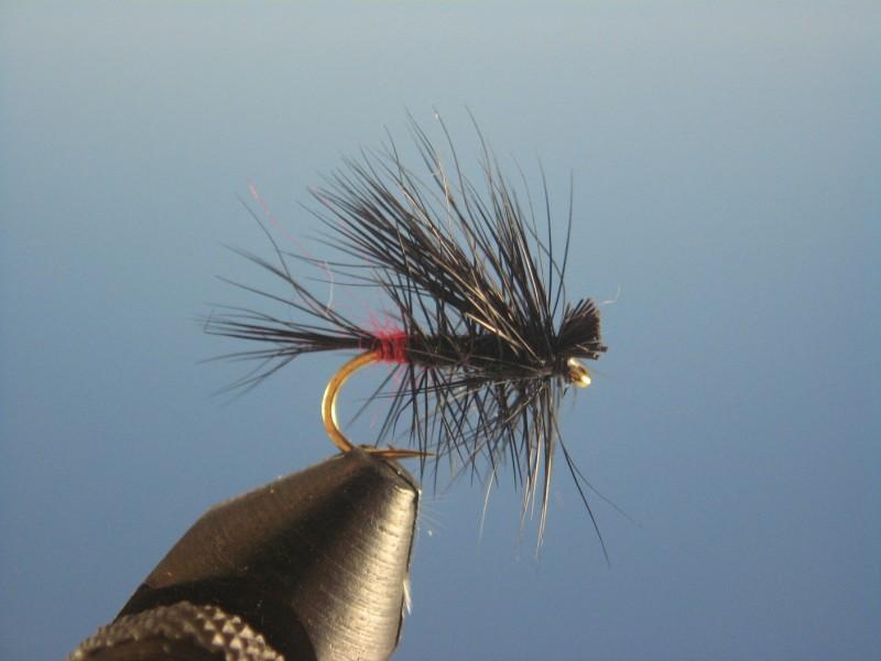 Little Black Stone Fly - The Trout Spot
