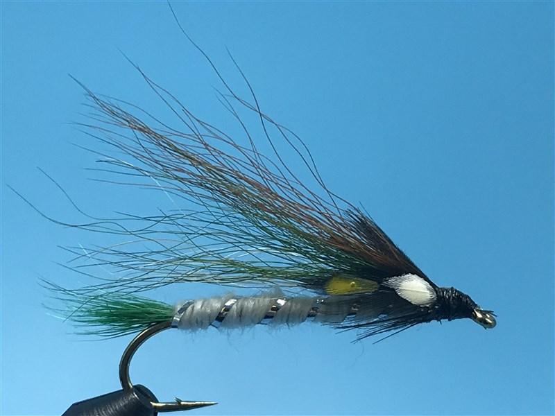 Little Brook Trout - The Trout Spot