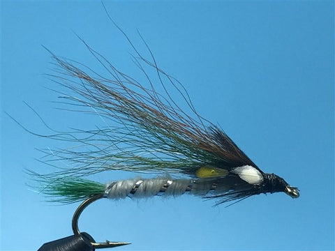 Little Brook Trout - The Trout Spot