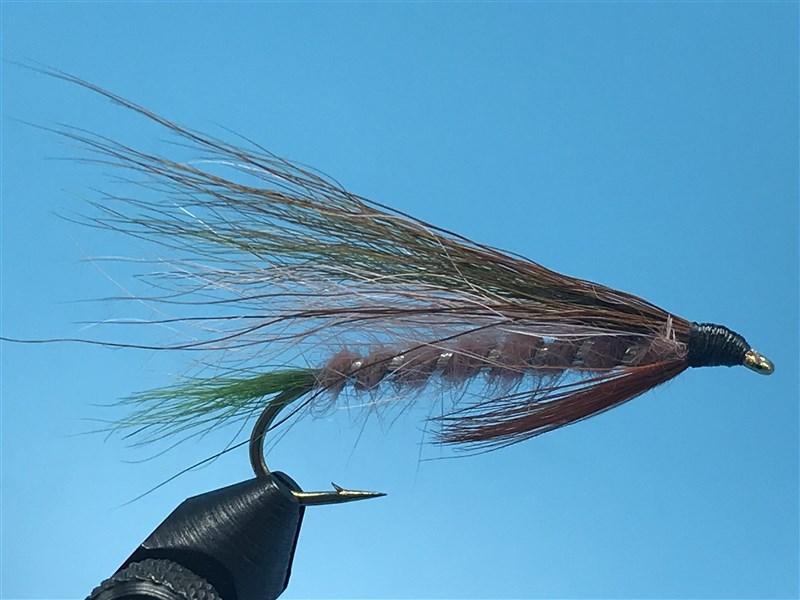 Little Rainbow Trout - The Trout Spot