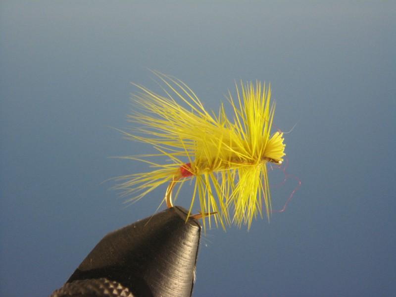 Little Yellow Stone Fly - The Trout Spot