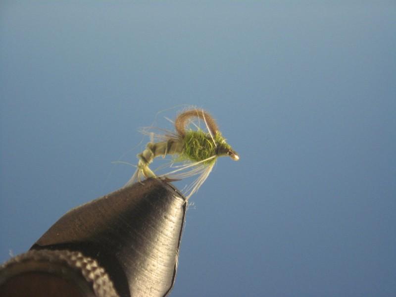Loop Wing Emerger BWO - The Trout Spot