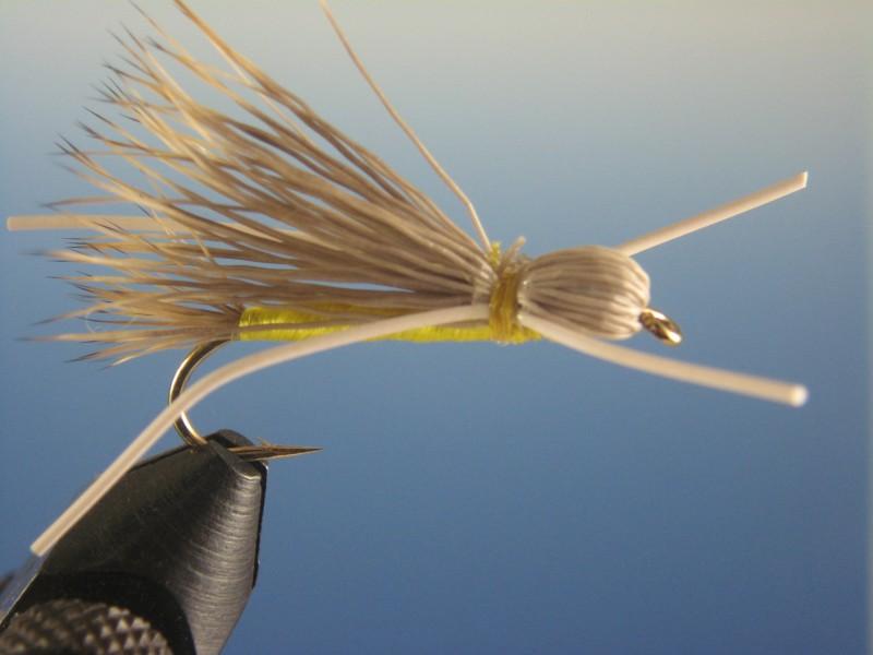 Madam X Yellow - The Trout Spot