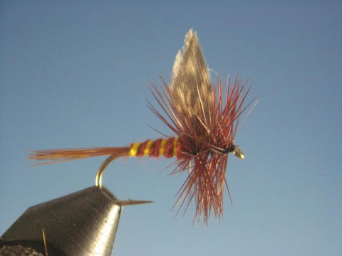 March Brown - The Trout Spot