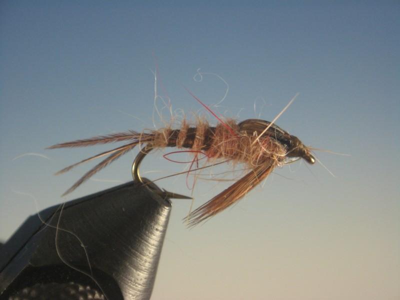 March Brown Nymph - The Trout Spot