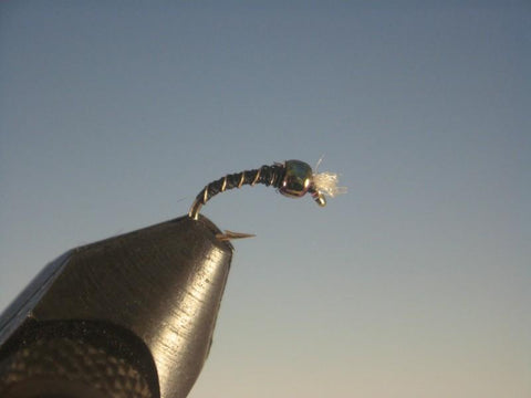 Mark Boname's Barbed Wire Black - The Trout Spot