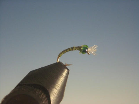 Mark Boname's Barbed Wire Red - The Trout Spot