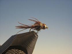 Mayfly Brown Tungsten Nymph Head Pheasant Tail - The Trout Spot