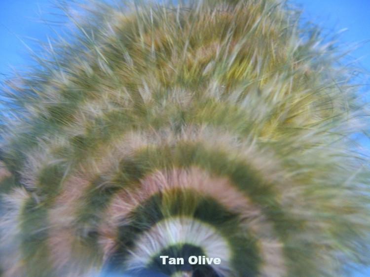 MFC Barred Marabou - The Trout Spot