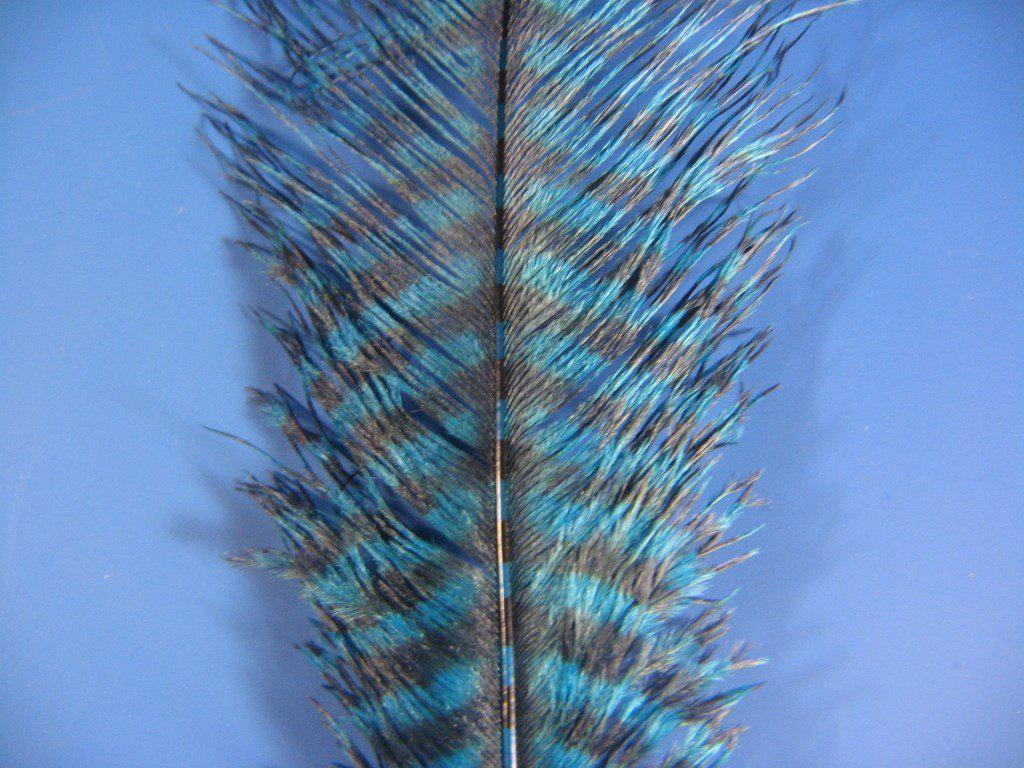 MFC Barred Ostrich Plume - The Trout Spot