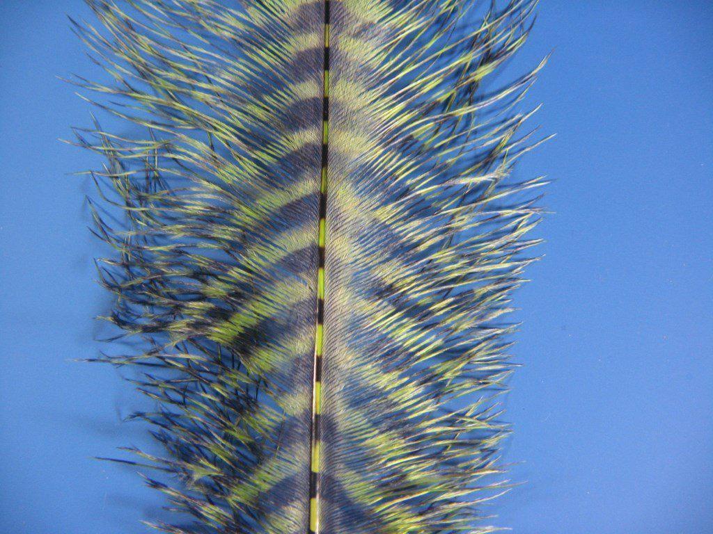MFC Barred Ostrich Plume - The Trout Spot