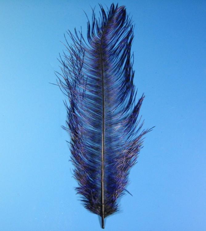 MFC Barred Ostrich Plume - The Trout Spot